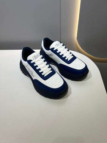 Louis Vuitton Shoe Blue