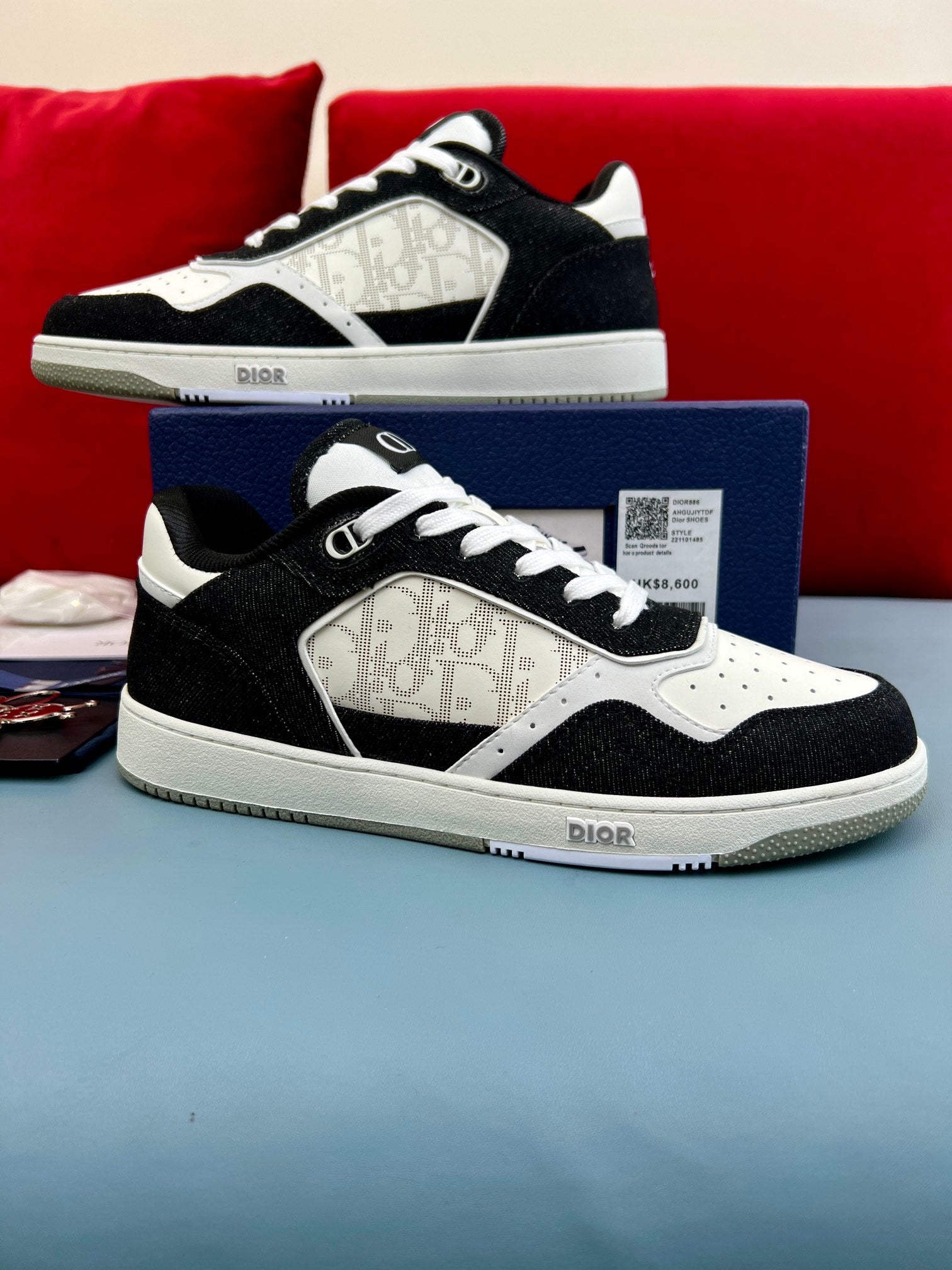 Dior Shoe