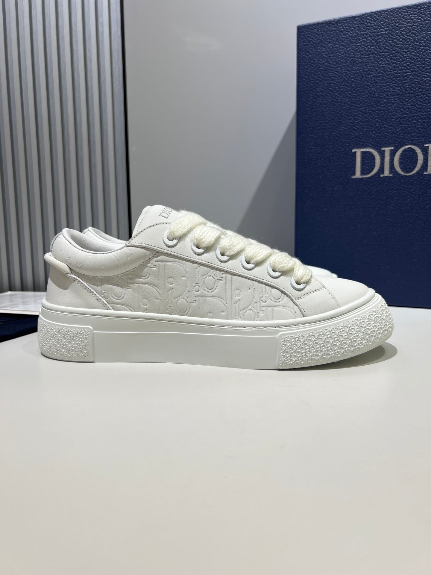 Dior B33 Shoe White