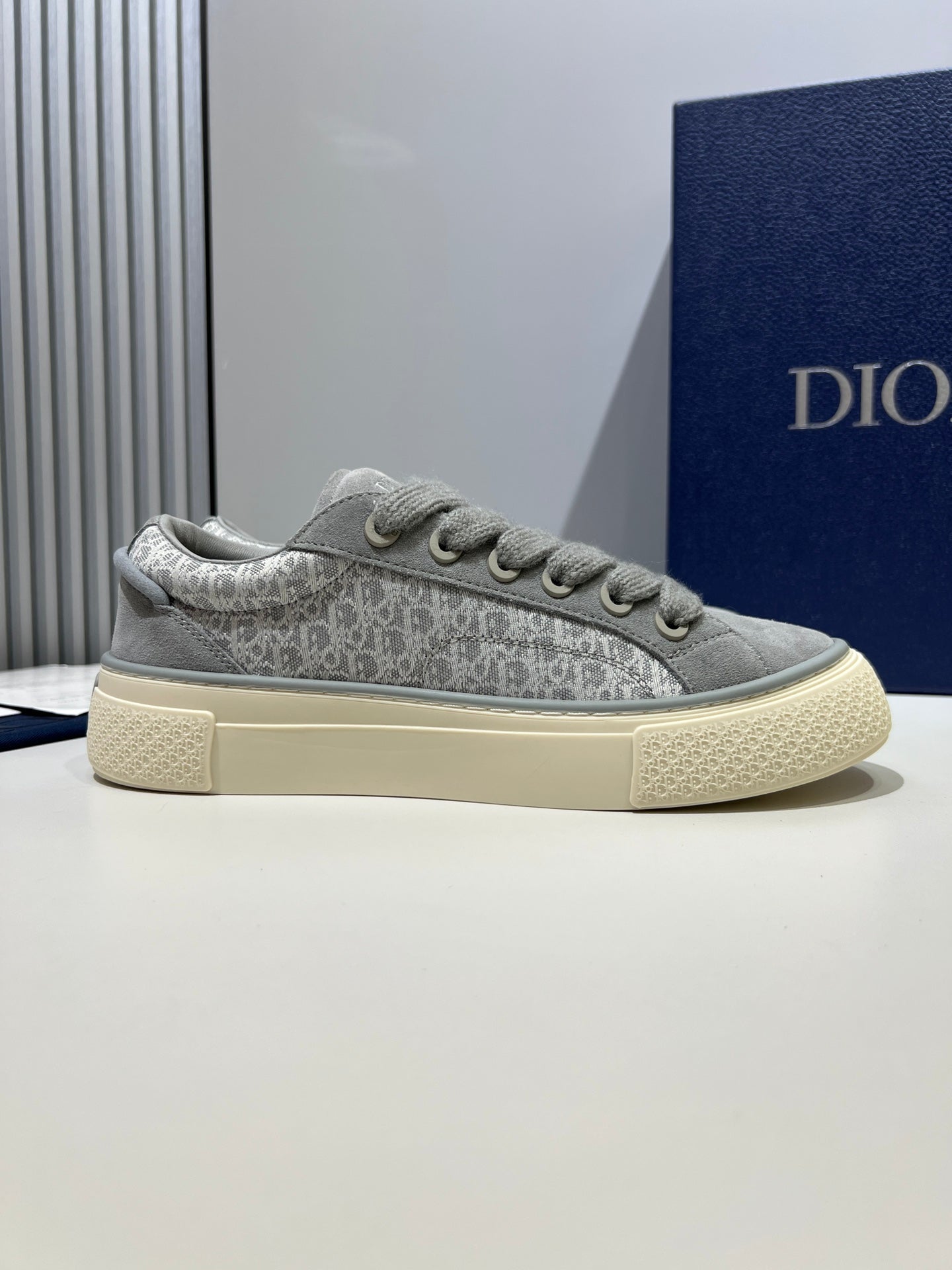 Dior Shoe B33 Grey