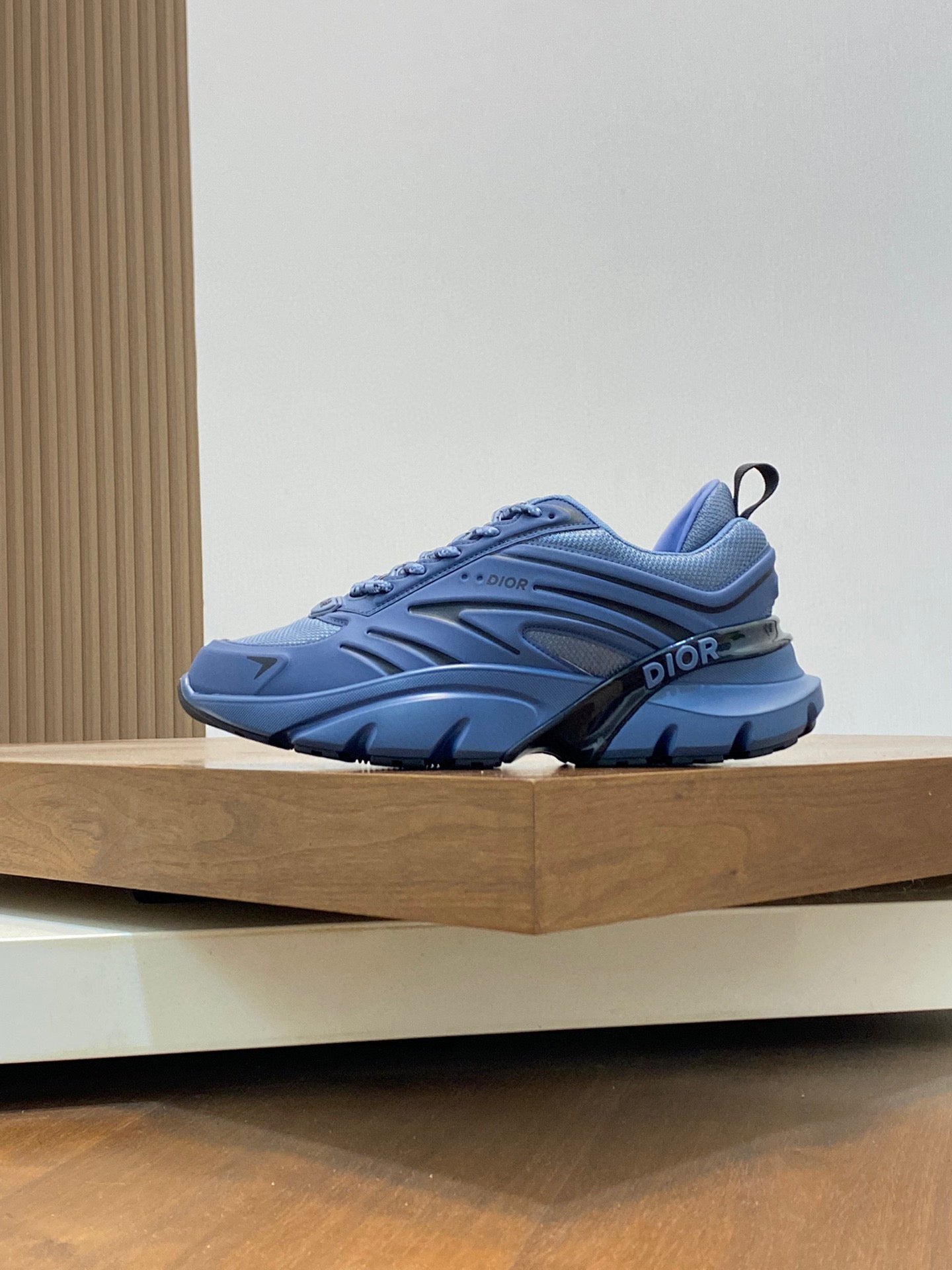 Dior Shoe Blue