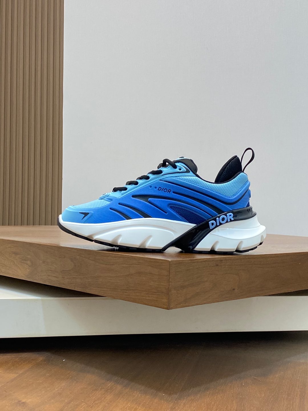 Dior Shoe Blue
